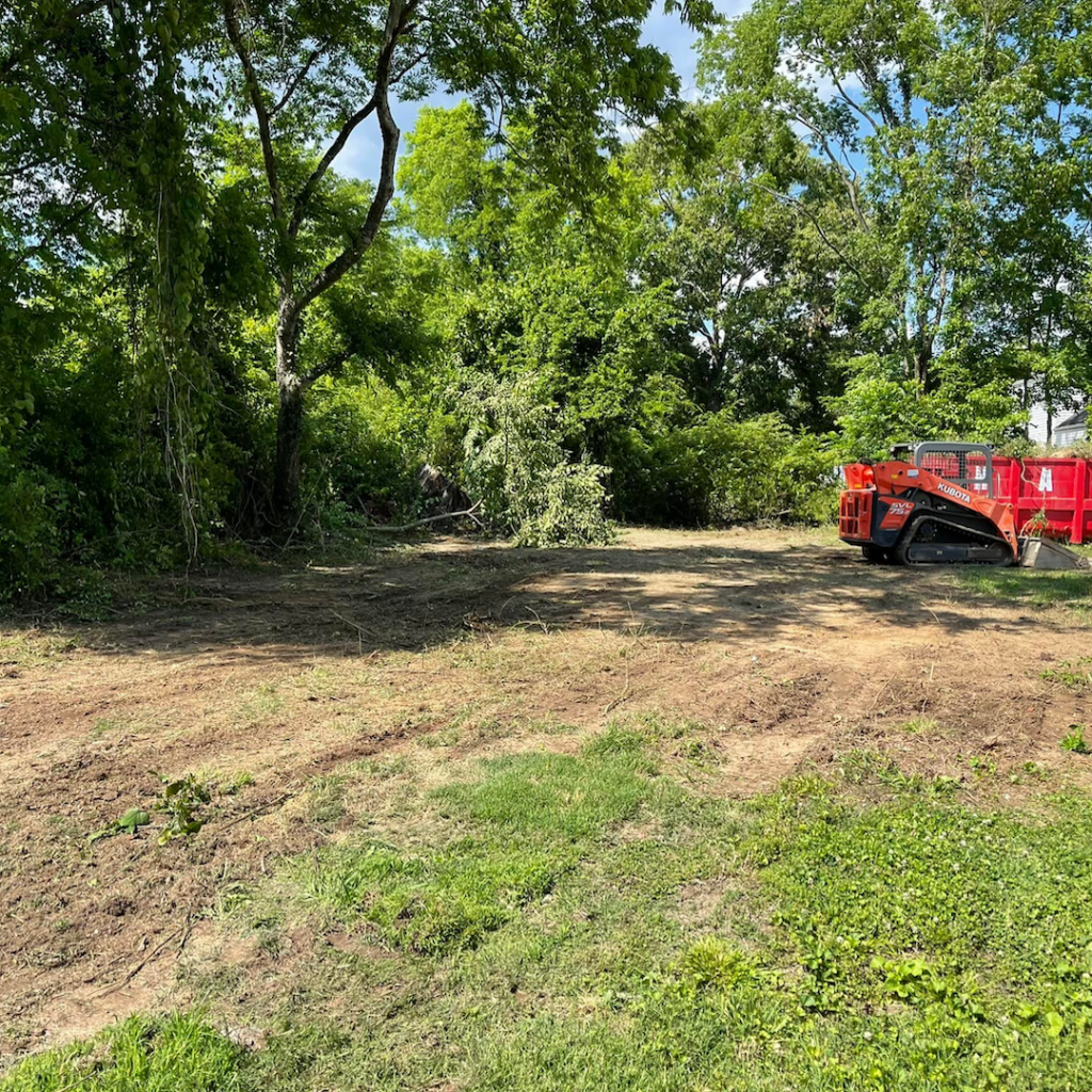 Cleared forest are with orange skid steer and rollback dumpster in right background.