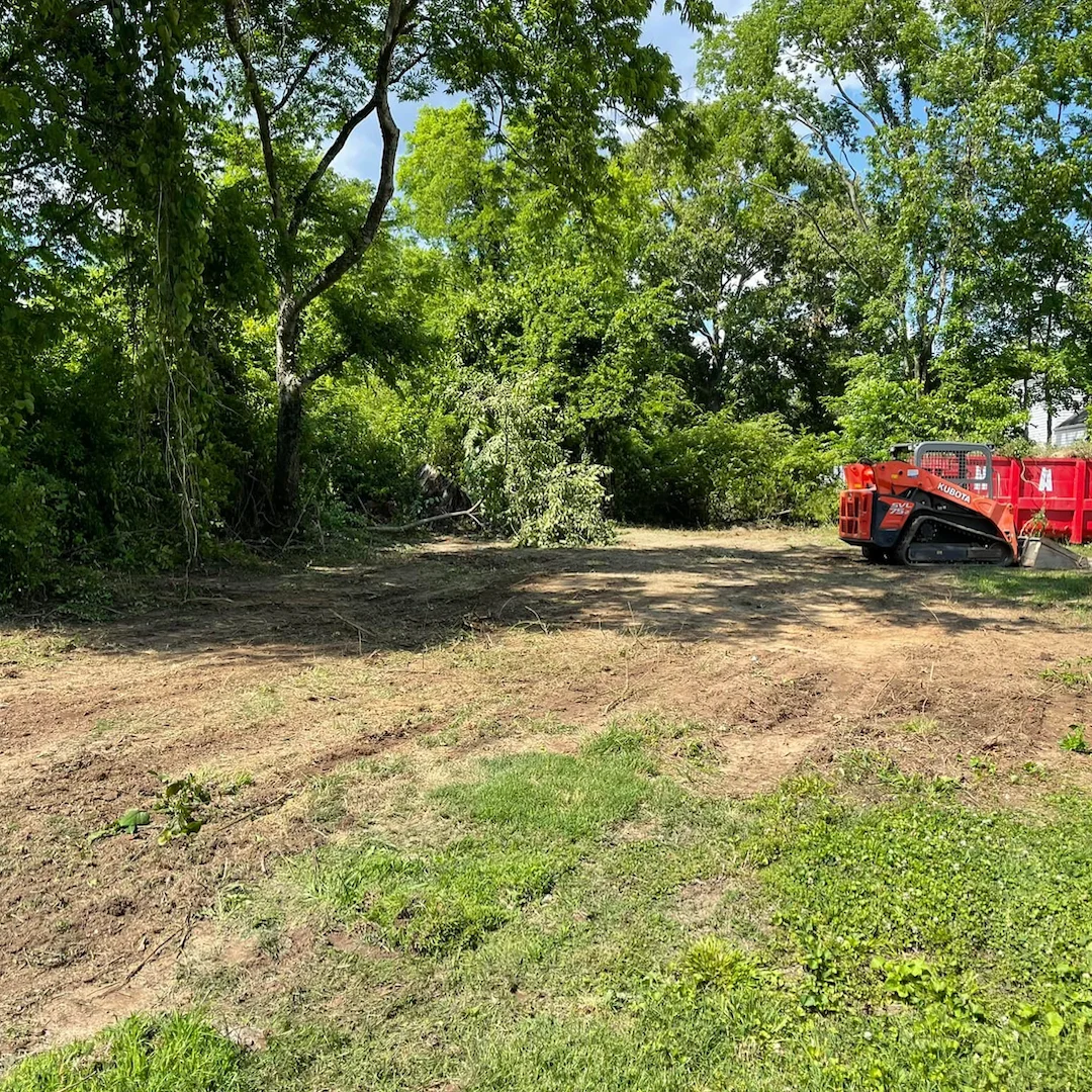 Cleared forest are with orange skid steer and rollback dumpster in right background.