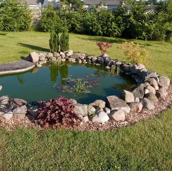 Pond
